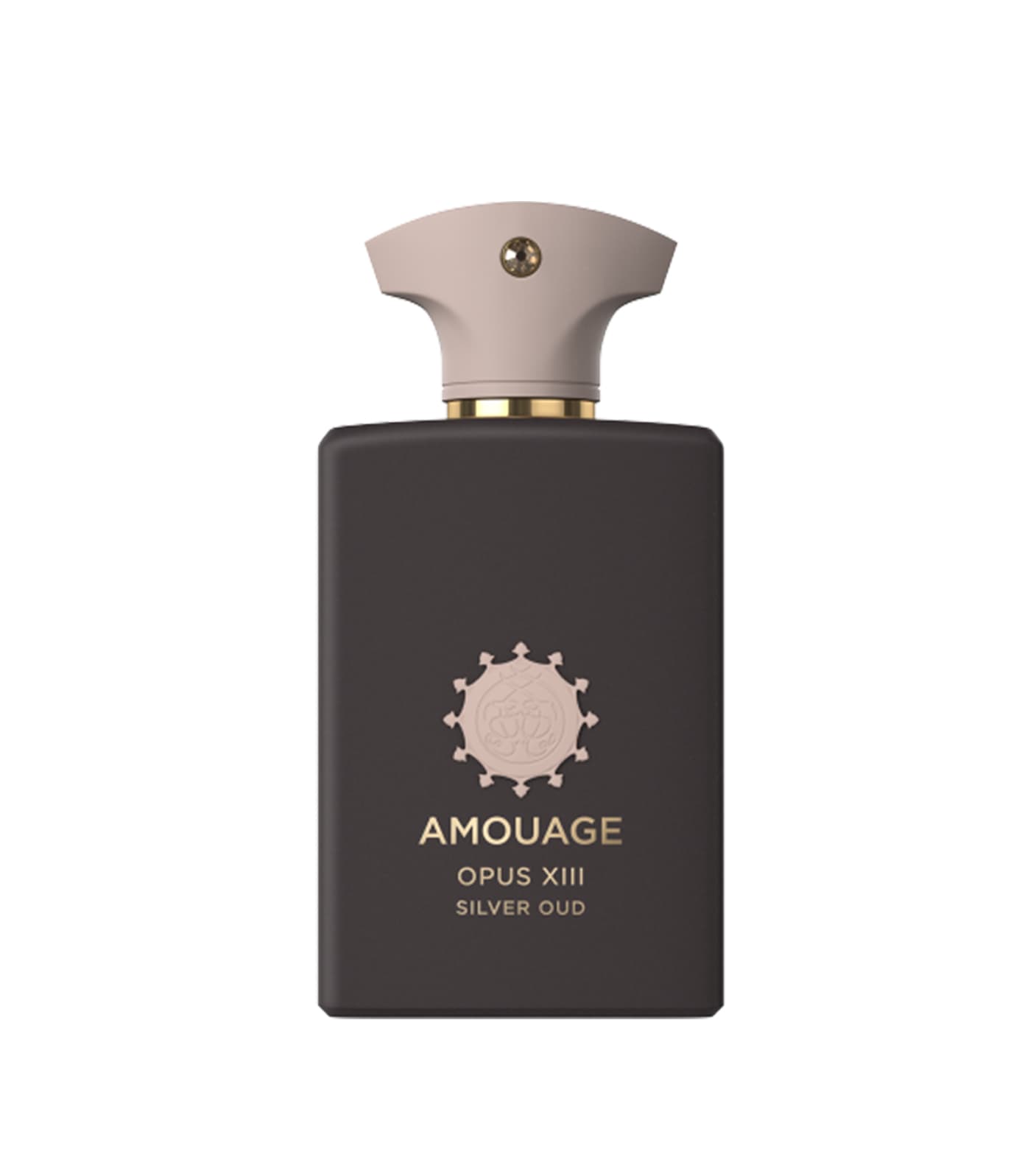 عطر زنانه و مردانه آمواج اوپوس 13 سیلور عود ادوپرفیوم – Amouage Opus XIII Silver Oud Eau De Parfum — تصویر ۴