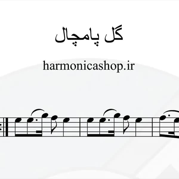 نت سازدهنی فیلم گل پامچال — تصویر ۵