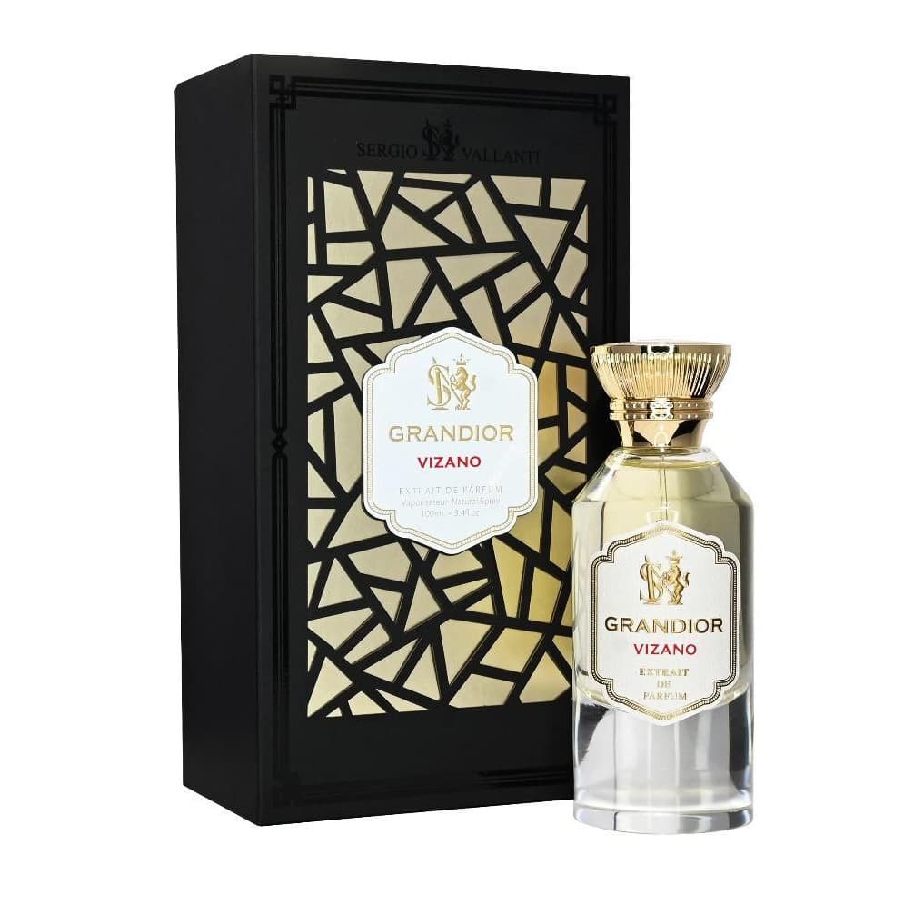 عطر ادکلن دمونت پاریس DUMONT PARIS مدل گرندیور ویزانو GRANDIOR VIZANO حجم 100 میلی لیتر — تصویر ۲