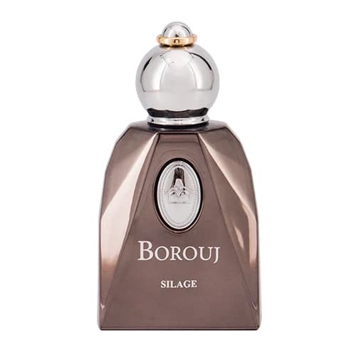 ادوپرفیوم دمونت پاریس DUMONT PARIS بروج Borouj Silage حجم 85 میلی لیتر — تصویر ۲