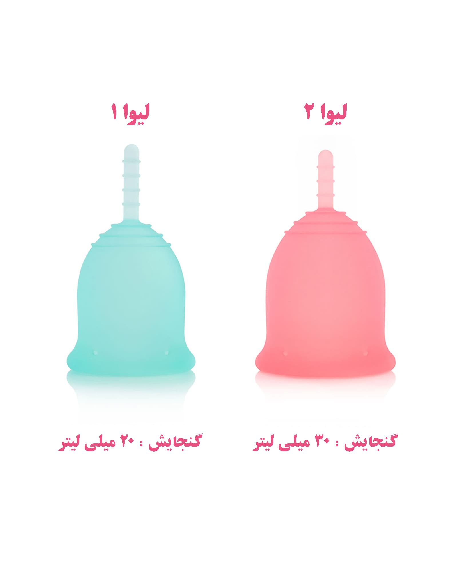 کاپ قاعدگی بانوان لیوا سایز متوسط — تصویر ۴