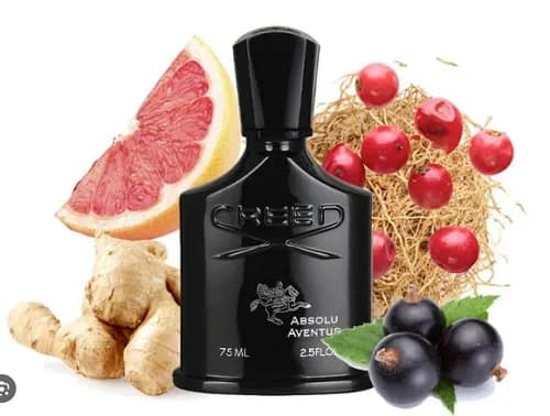 عطر کرید ابسولو اونتوس | Creed Absolu Aventus — تصویر ۵