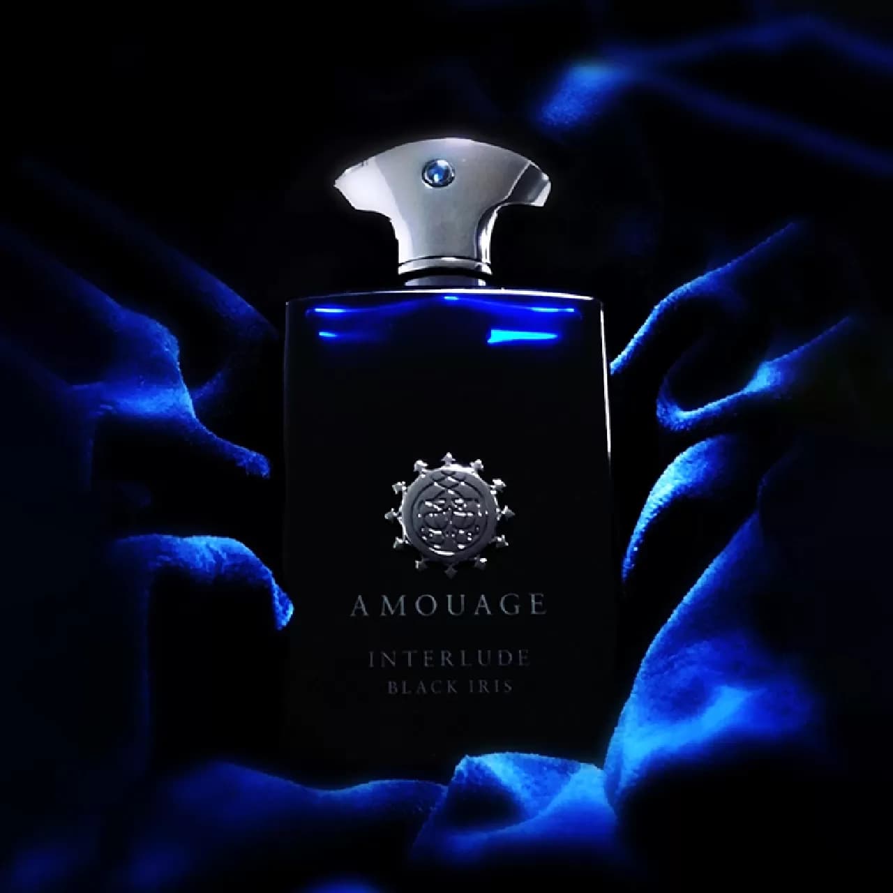 عطر آمواج اینترلود بلک آیریس مردانه | Amouage Interlude Black Iris Man — تصویر ۱۰
