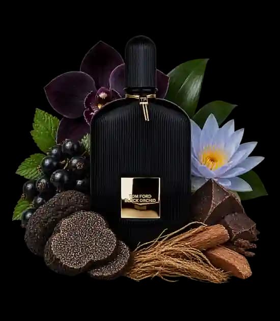 عطر تام فورد بلک ارکید | Tom Ford Black Orchid — تصویر ۱۲