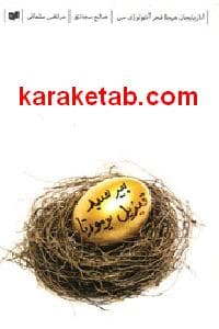 بیر سبد قیزیل یومورتا
