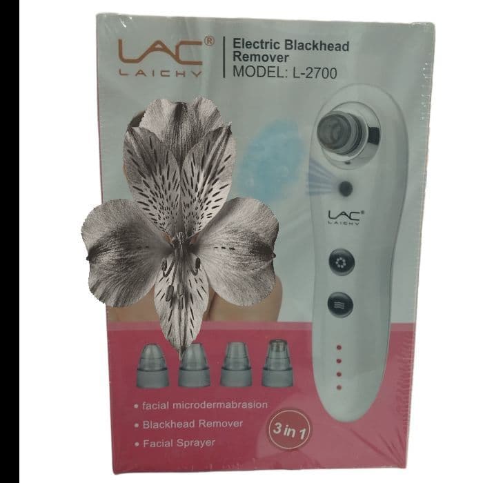 میکرودرم بخاردار حرفه ای سالنی خانگی L-2700 با