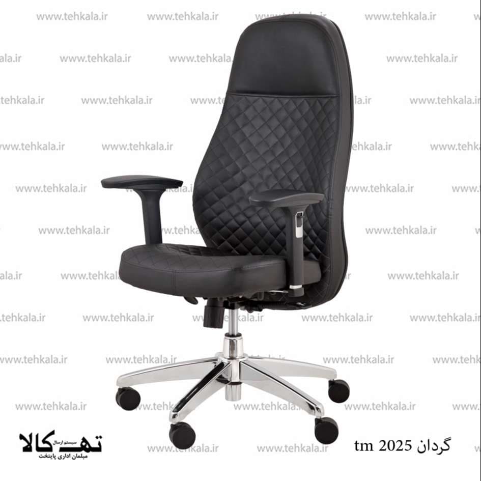 صندلی گردان tm 2025