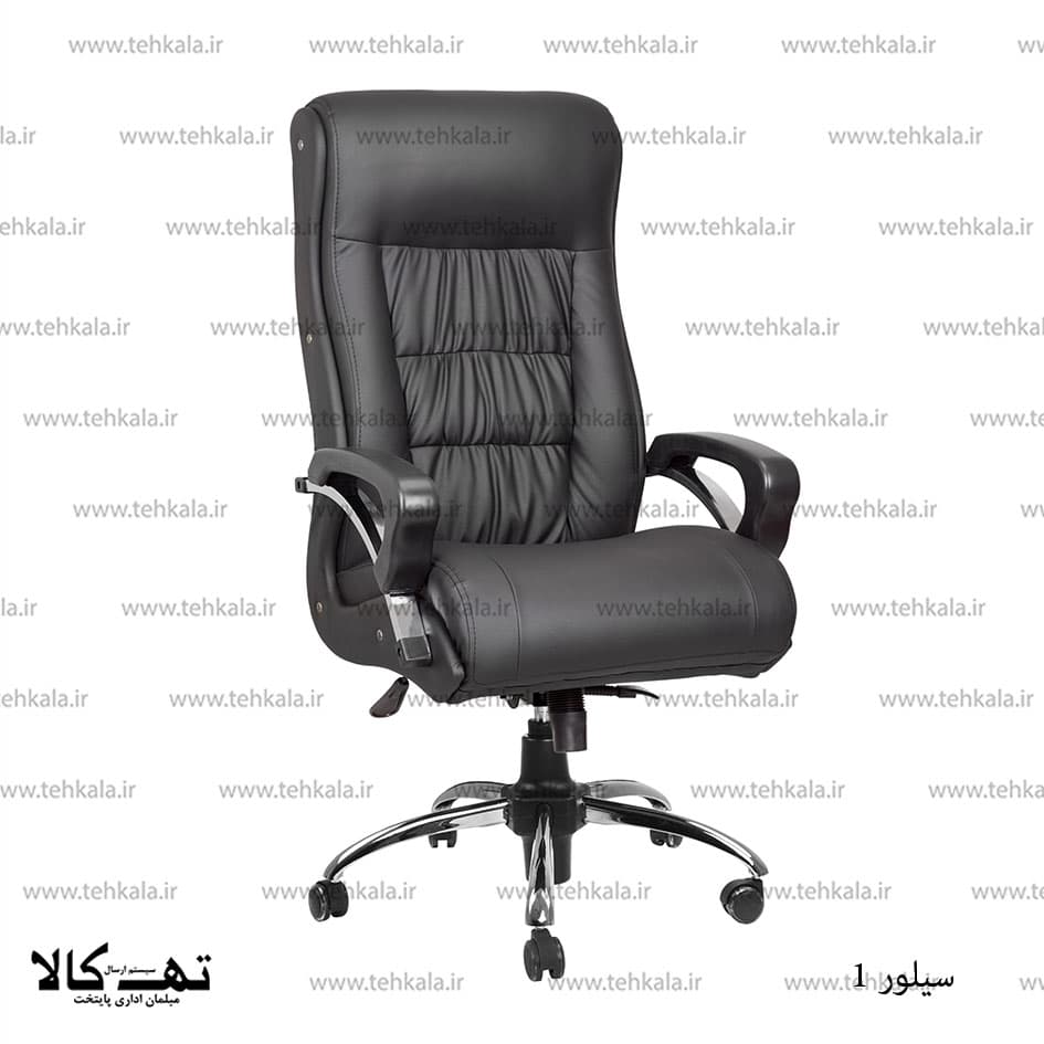 صندلی سیلور یک — تصویر ۴