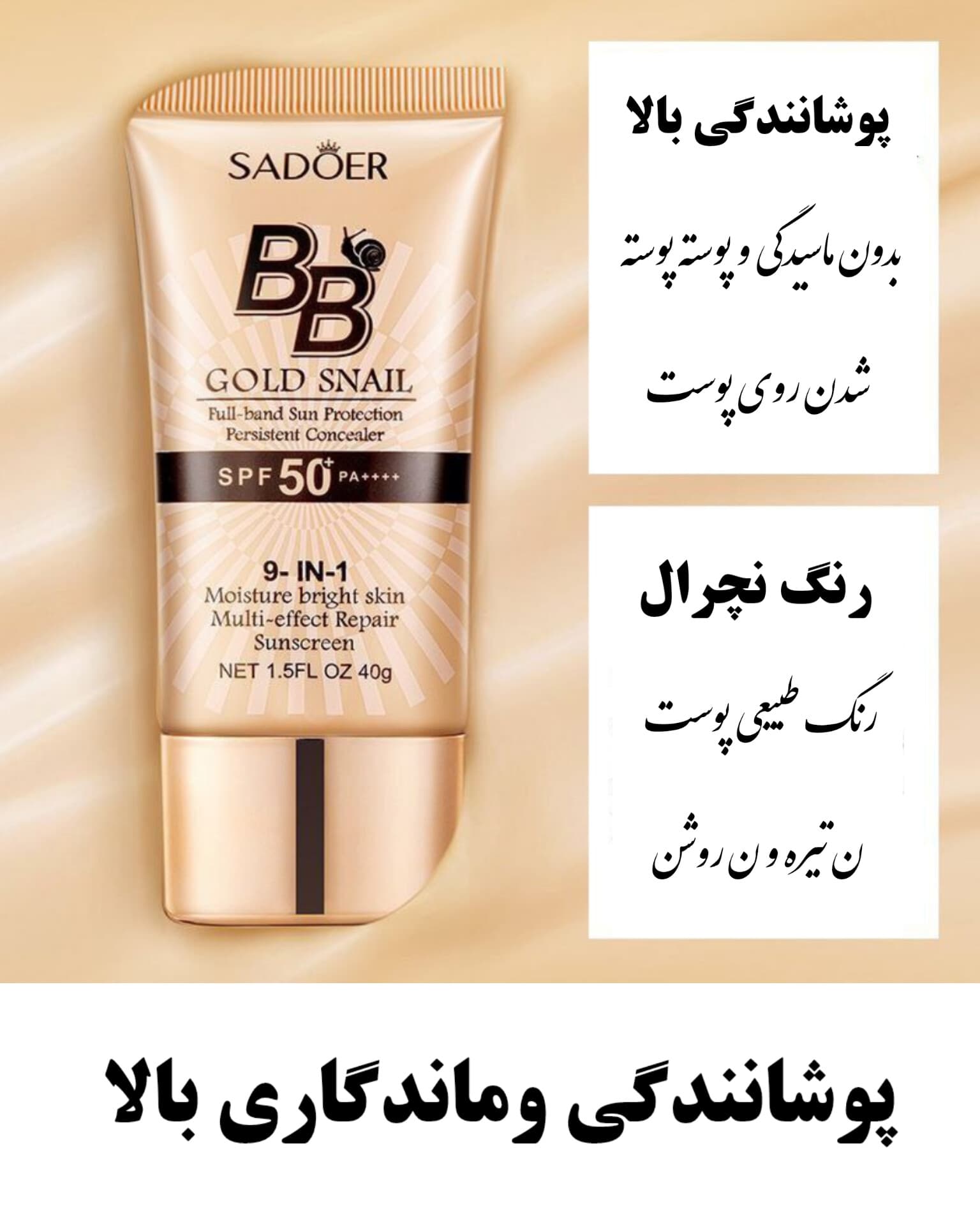 بی بی کرم حلزون سادور — تصویر ۵