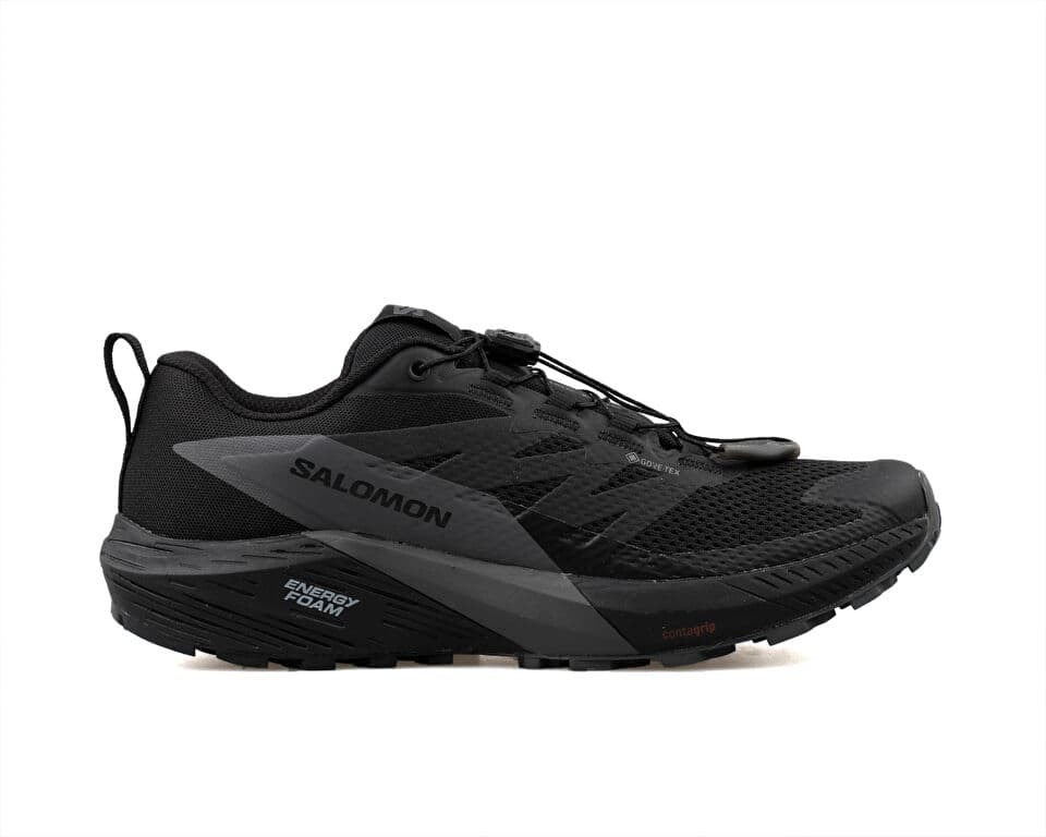 Salomon Sense Ride 5 Gtx Outdoor Shoes — تصویر ۲