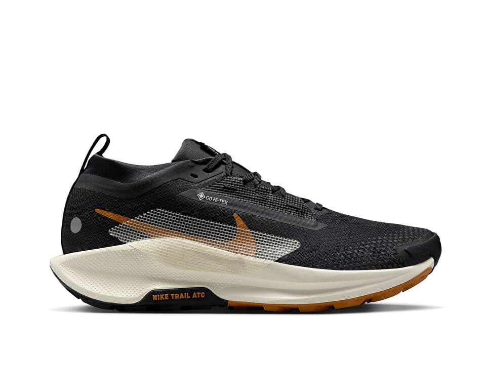 Nike Pegasus Trail 5 Gore-Tex Shoes