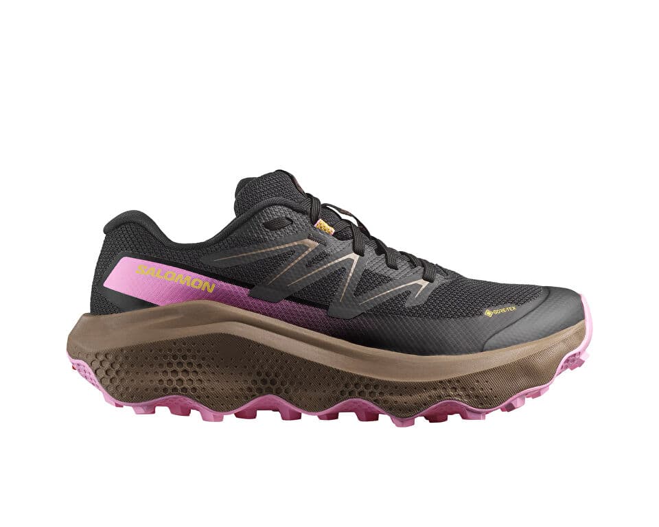 Salomon ULTRA FLOW 2 GTX Shoes