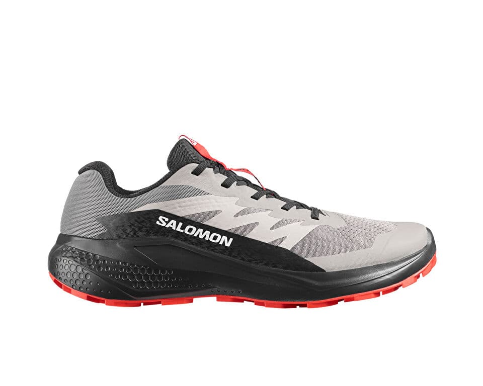 Salomon ALPHAGLIDE Shoes