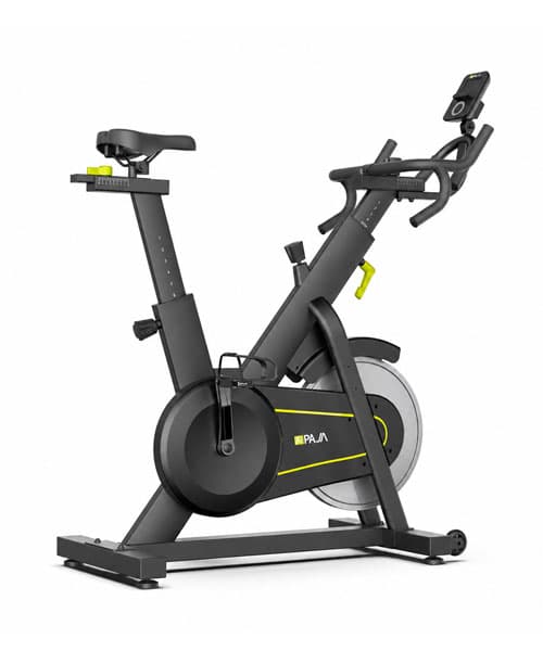 اسپینینگ خانگی پاژا مدل PAJA-YK-SP2301