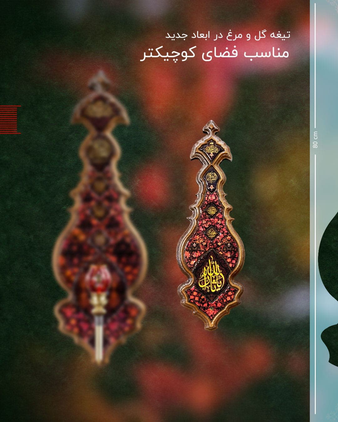 گل مرغ مینیاتوری — تصویر ۵