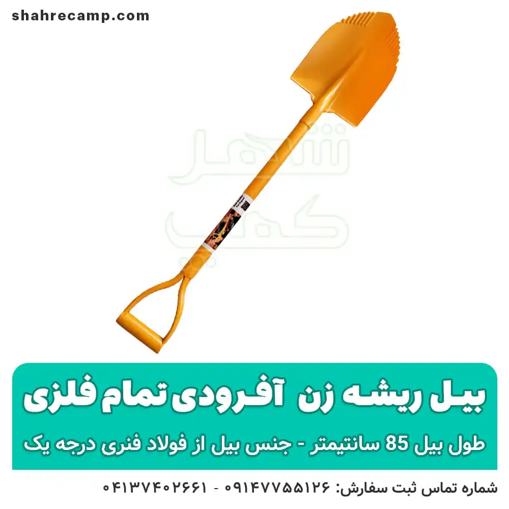 بیل آفرودی ریشه زن کوچک — تصویر ۴