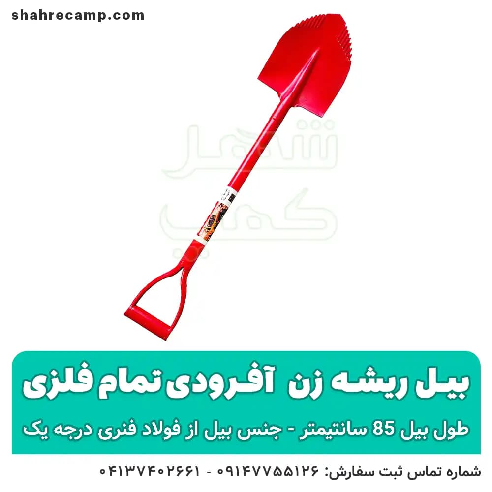 بیل آفرودی ریشه زن کوچک — تصویر ۵