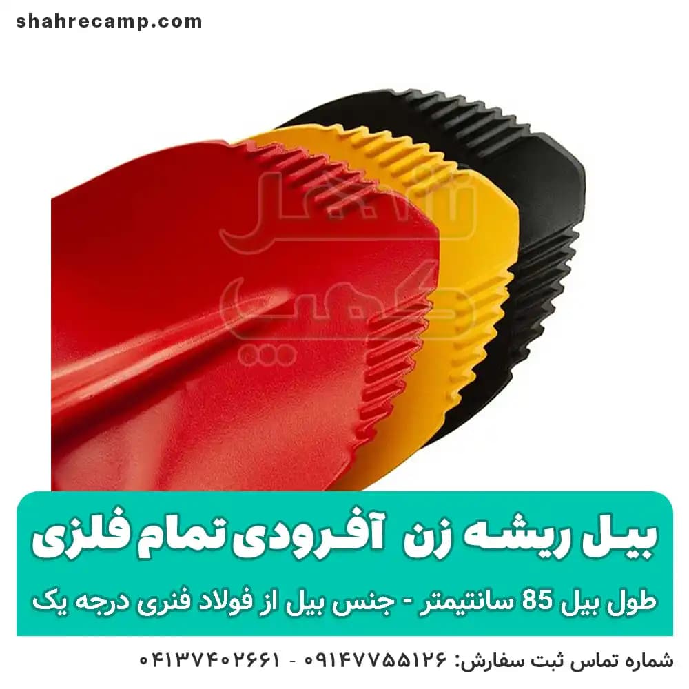 بیل آفرودی ریشه زن کوچک — تصویر ۶