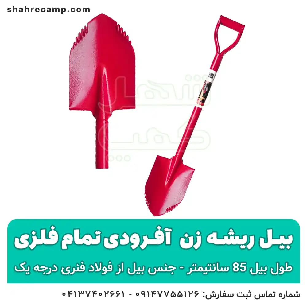 بیل آفرودی ریشه زن کوچک — تصویر ۷
