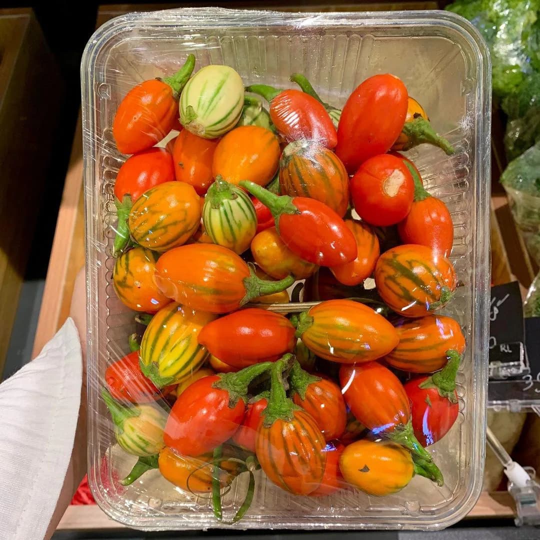 ظرف یکبار مصرف پروتئینی بزرگ پت پیکنیک — تصویر ۹