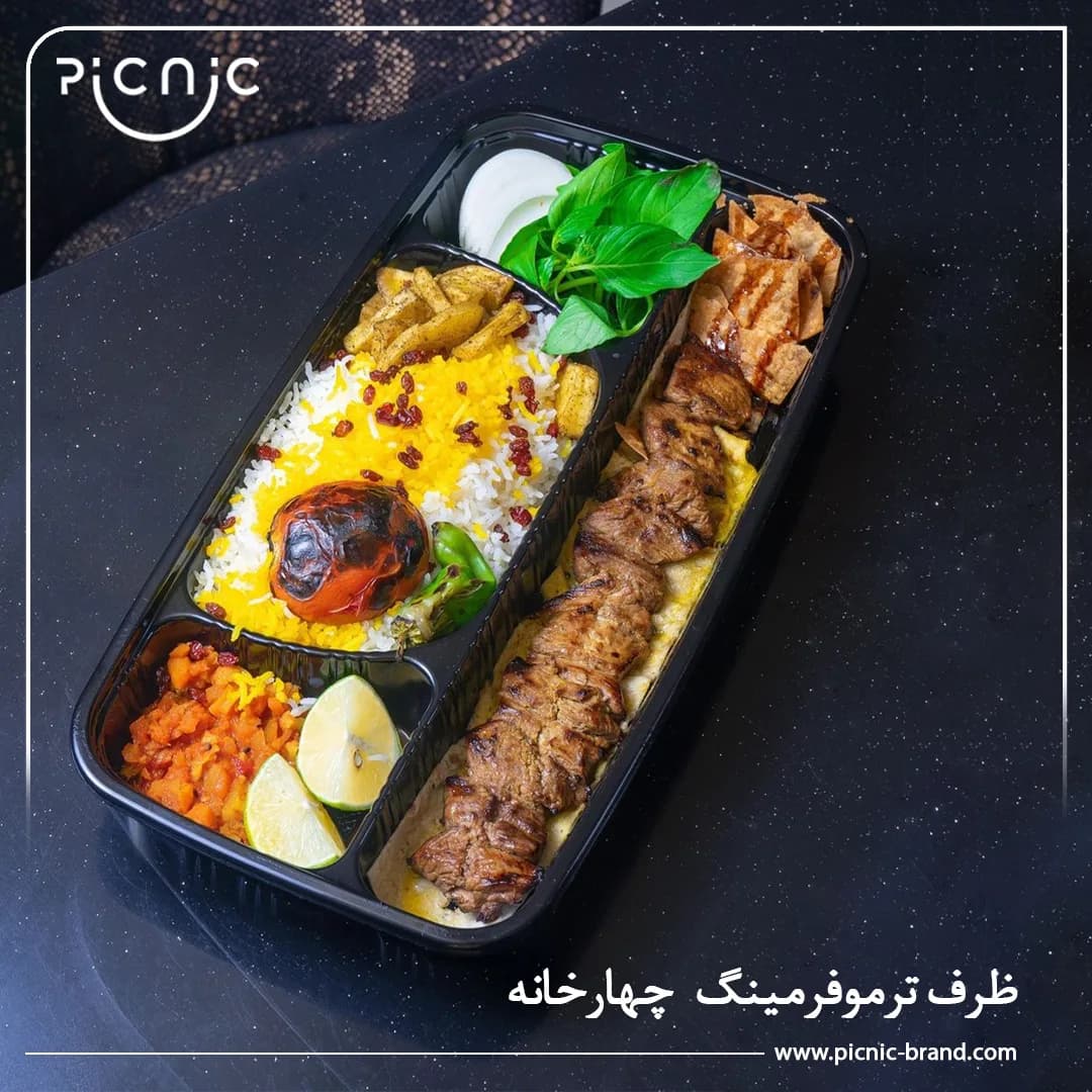 دیس یکبار مصرف ترموفرمینگ بزرگ پیکنیک — تصویر ۳