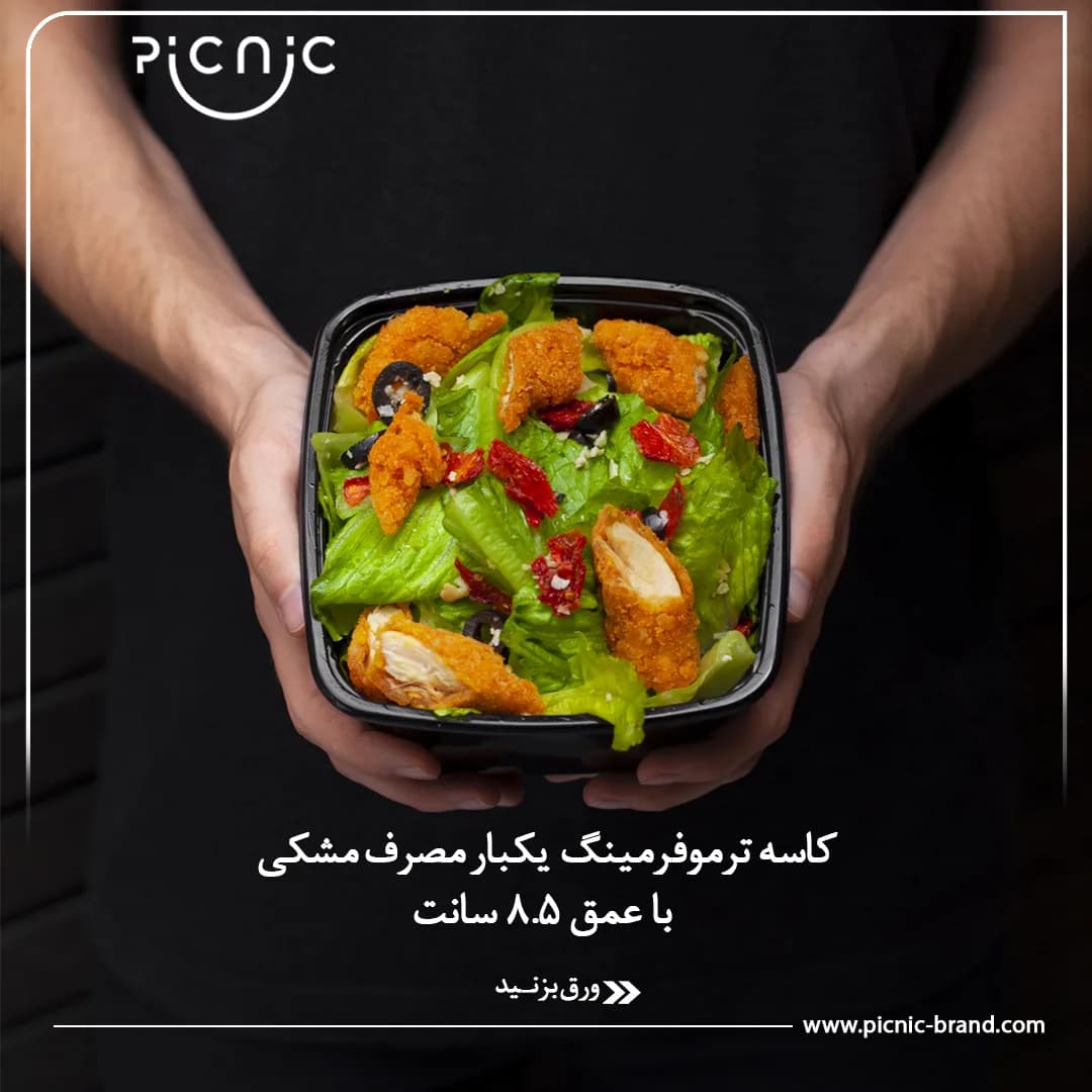 کاسه یکبار مصرف ترموفرمینگ مربع 8.5 سانتی متر پیکنیک — تصویر ۱۱