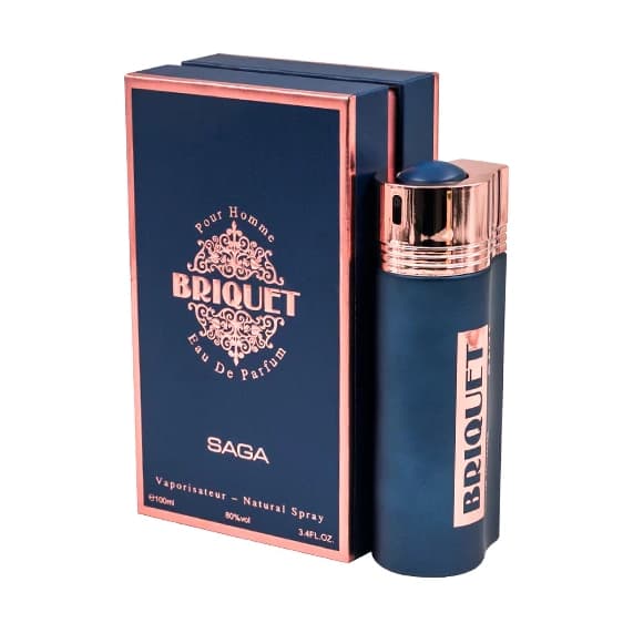 ادوپرفیوم دمونت پاریس DUMONT PARIS بریکیت ساگا Briquet Saga حجم 100 میلی لیتر — تصویر ۳