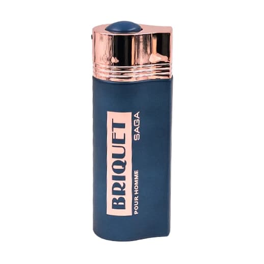ادوپرفیوم دمونت پاریس DUMONT PARIS بریکیت ساگا Briquet Saga حجم 100 میلی لیتر