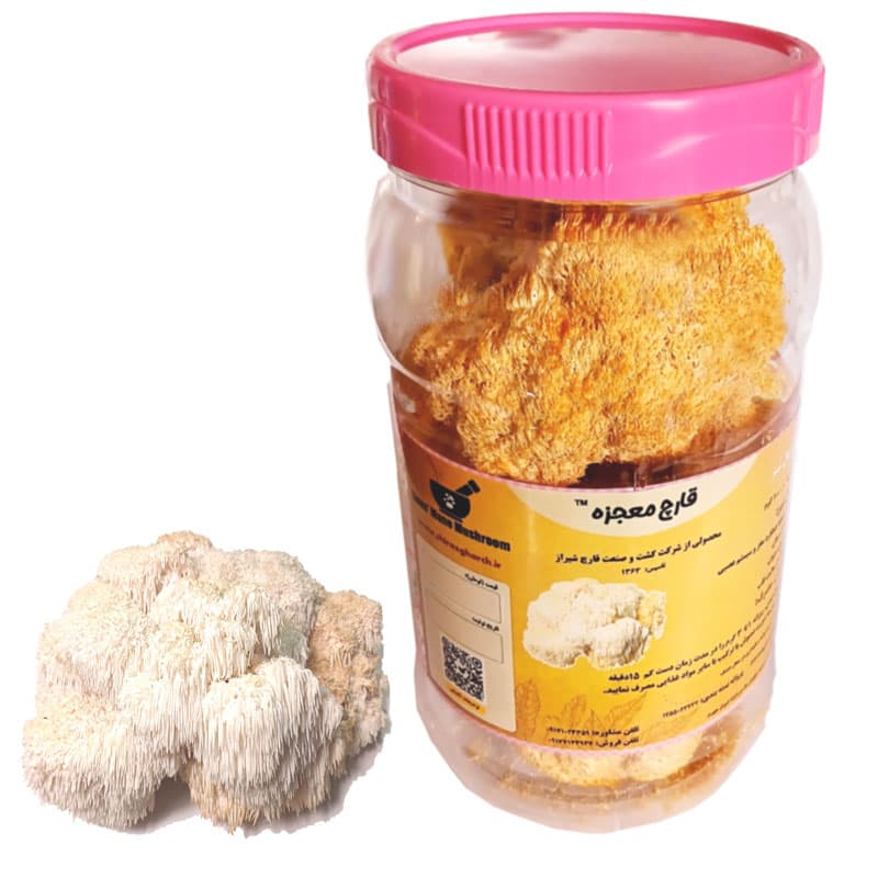 پودر قارچ یال شیر (100 گرمی) — تصویر ۳