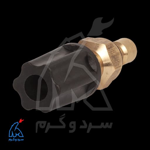 شیر پر کن دمراد، گلدیران،‌ تاچی – سر بشقابی — تصویر ۴