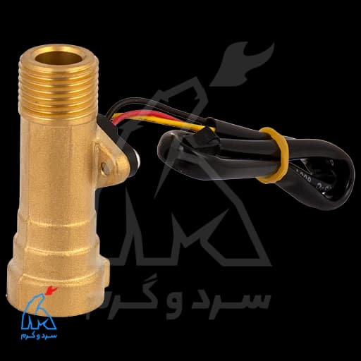 فلومتر برنجی اصلاحی کامل وارداتی – SAIER — تصویر ۲