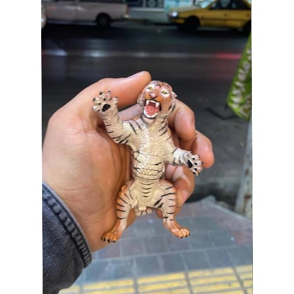 فیگور ببر بنگال نر ایستاده — تصویر ۸