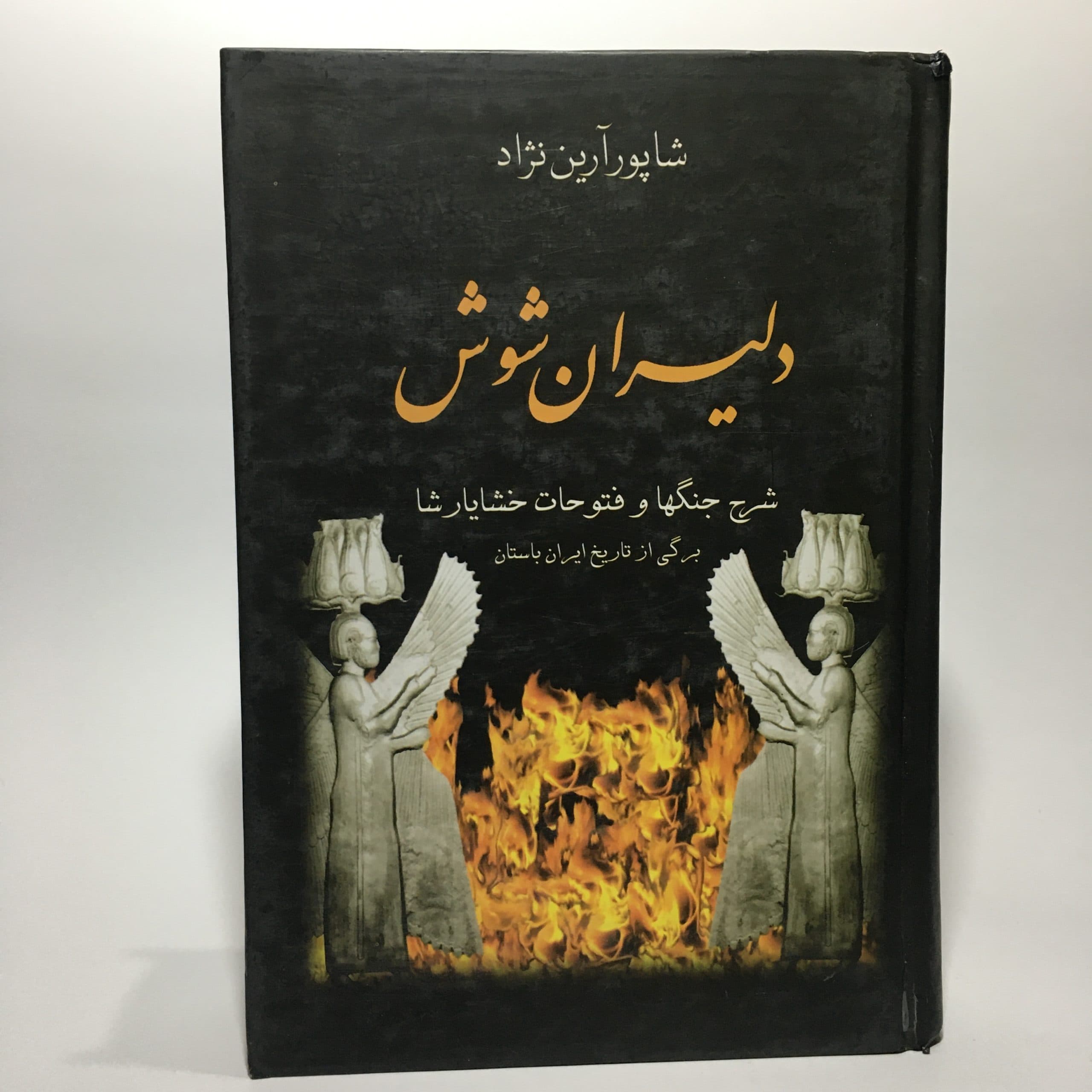 دلیران شوش اثر شاپور آرین نژاد