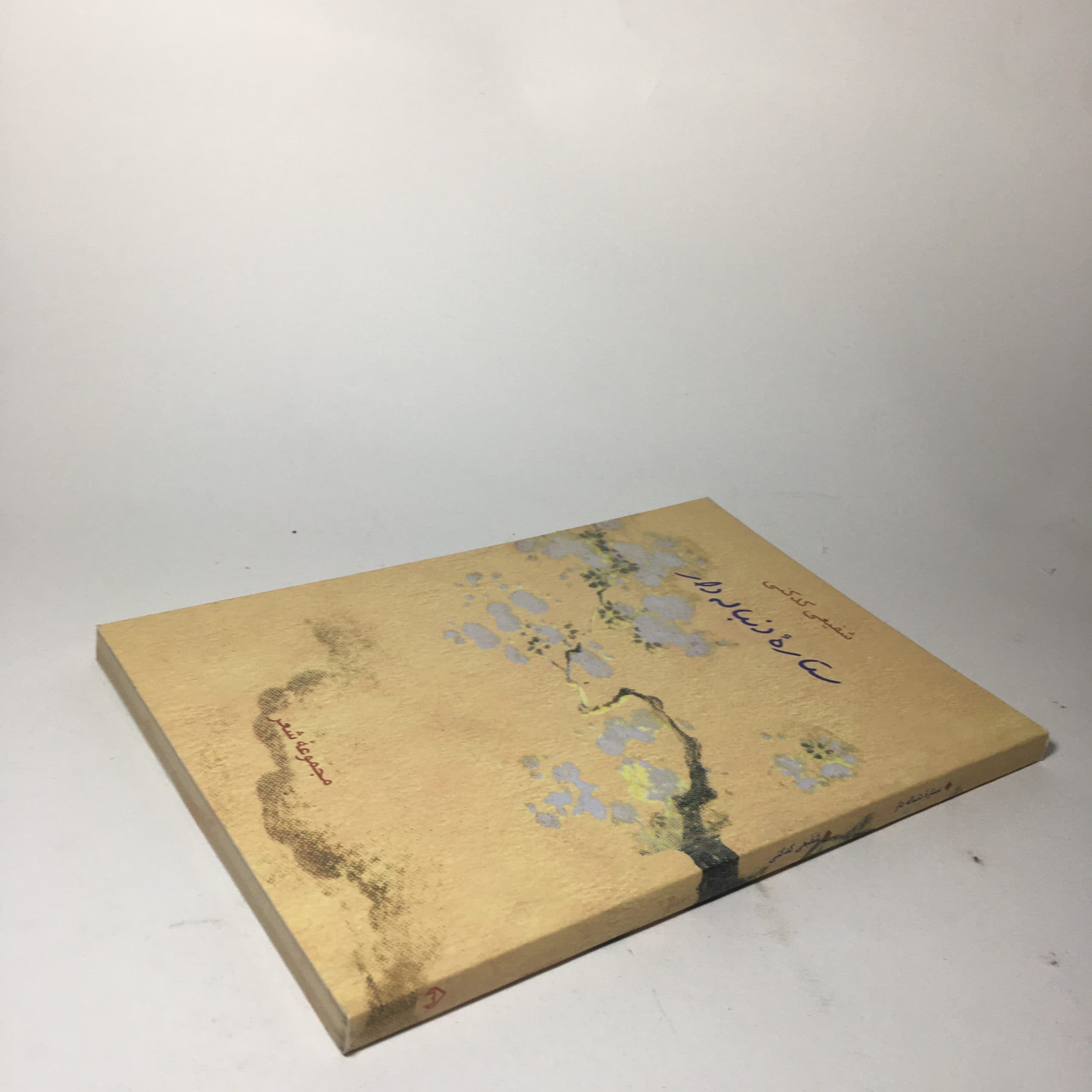 ستاره دنباله دار اثر شفیعی کدکنی — تصویر ۳