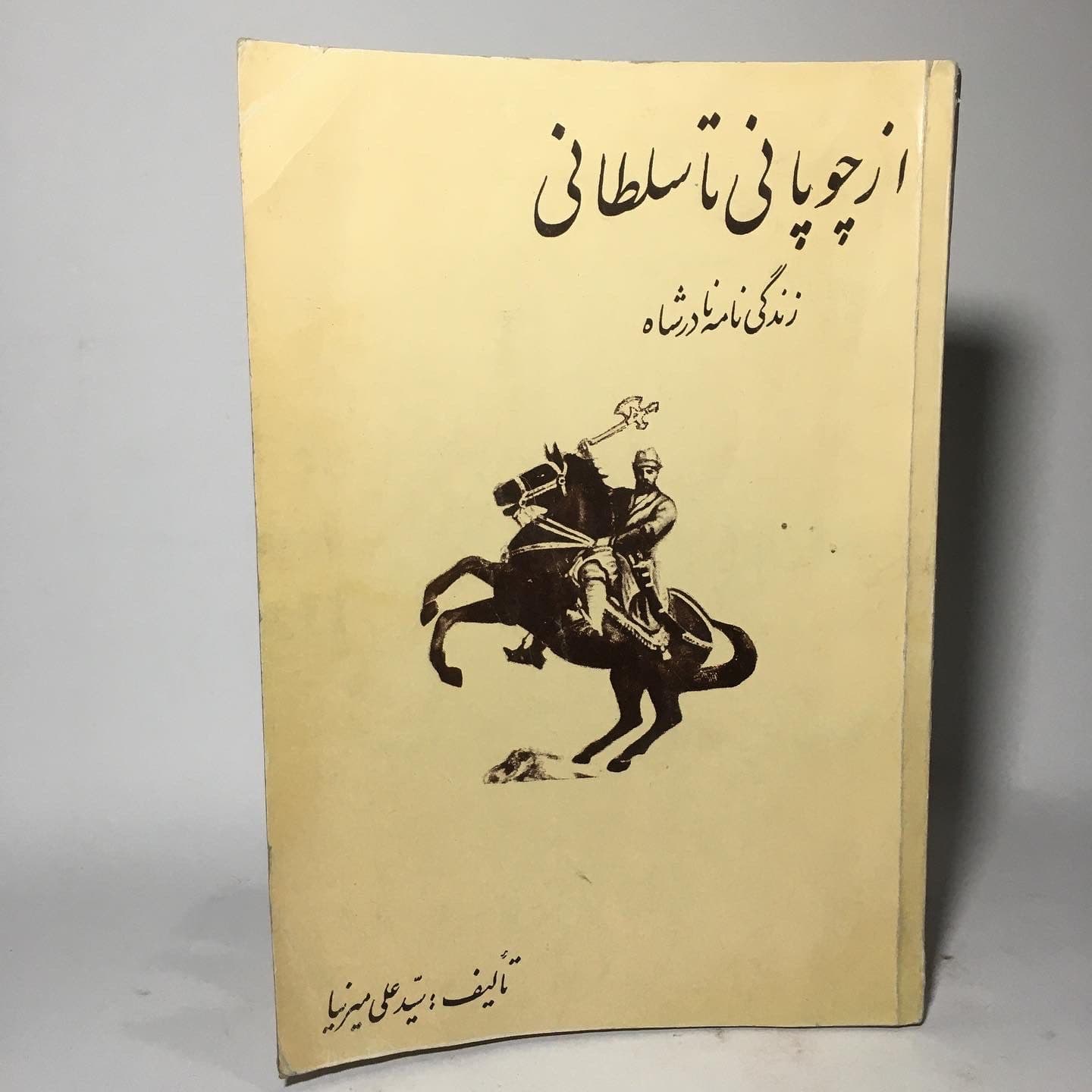از چوپانی تا سلطانی اثر سیدعلی میرنیا