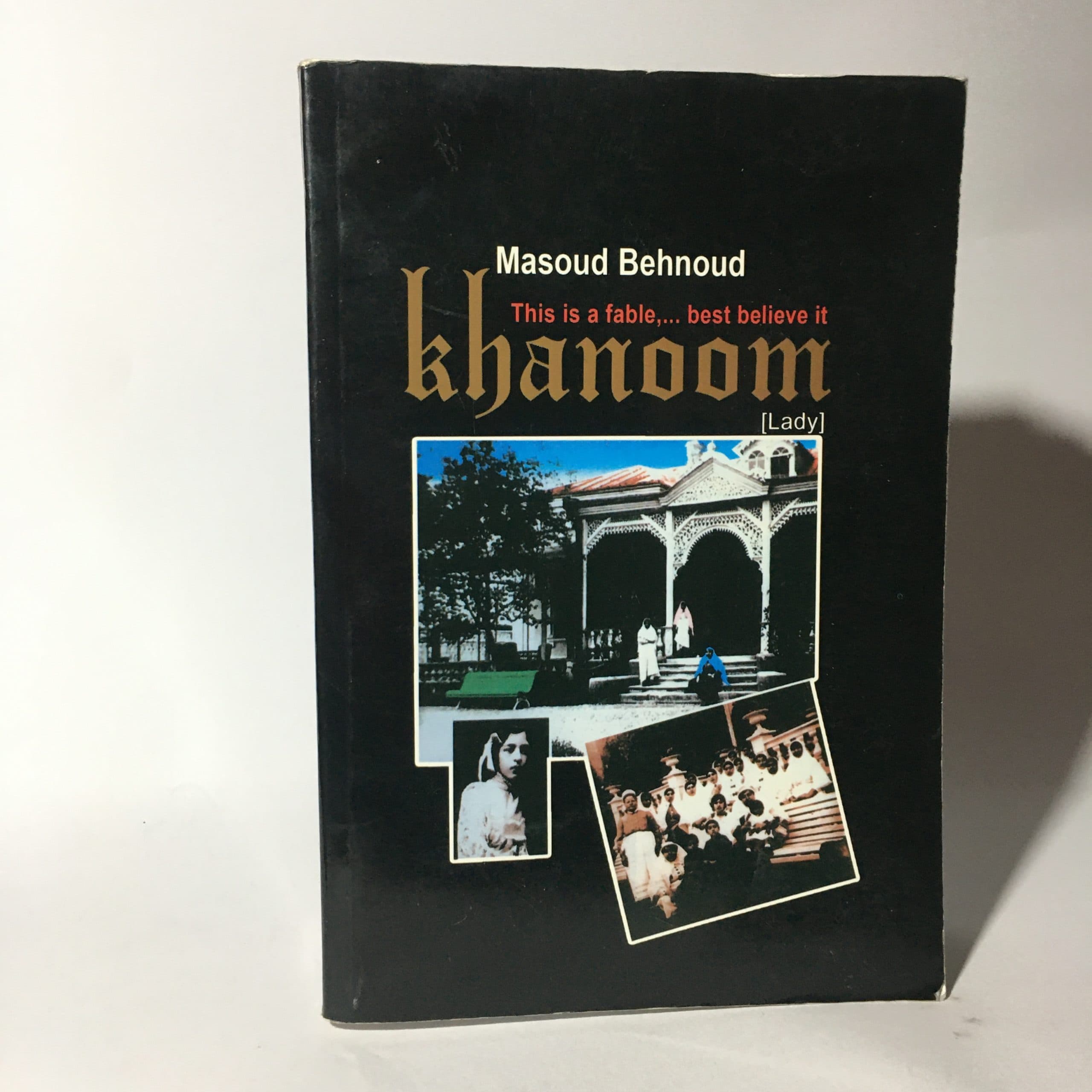 خانوم اثر مسعود بهنود — تصویر ۴