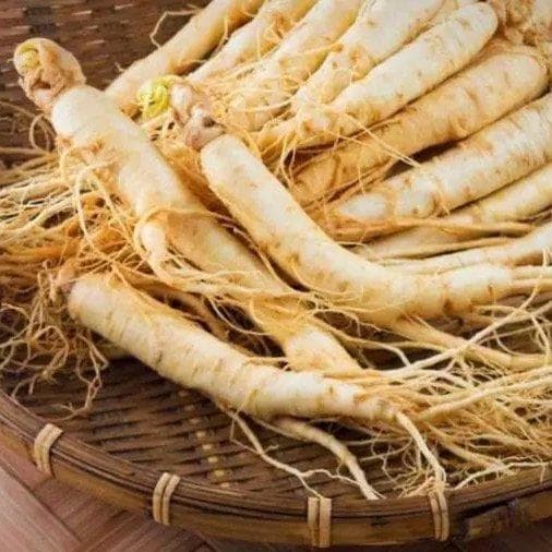 بهترین مارک جنسینگ سفید کره‌ای اصل — تصویر ۷