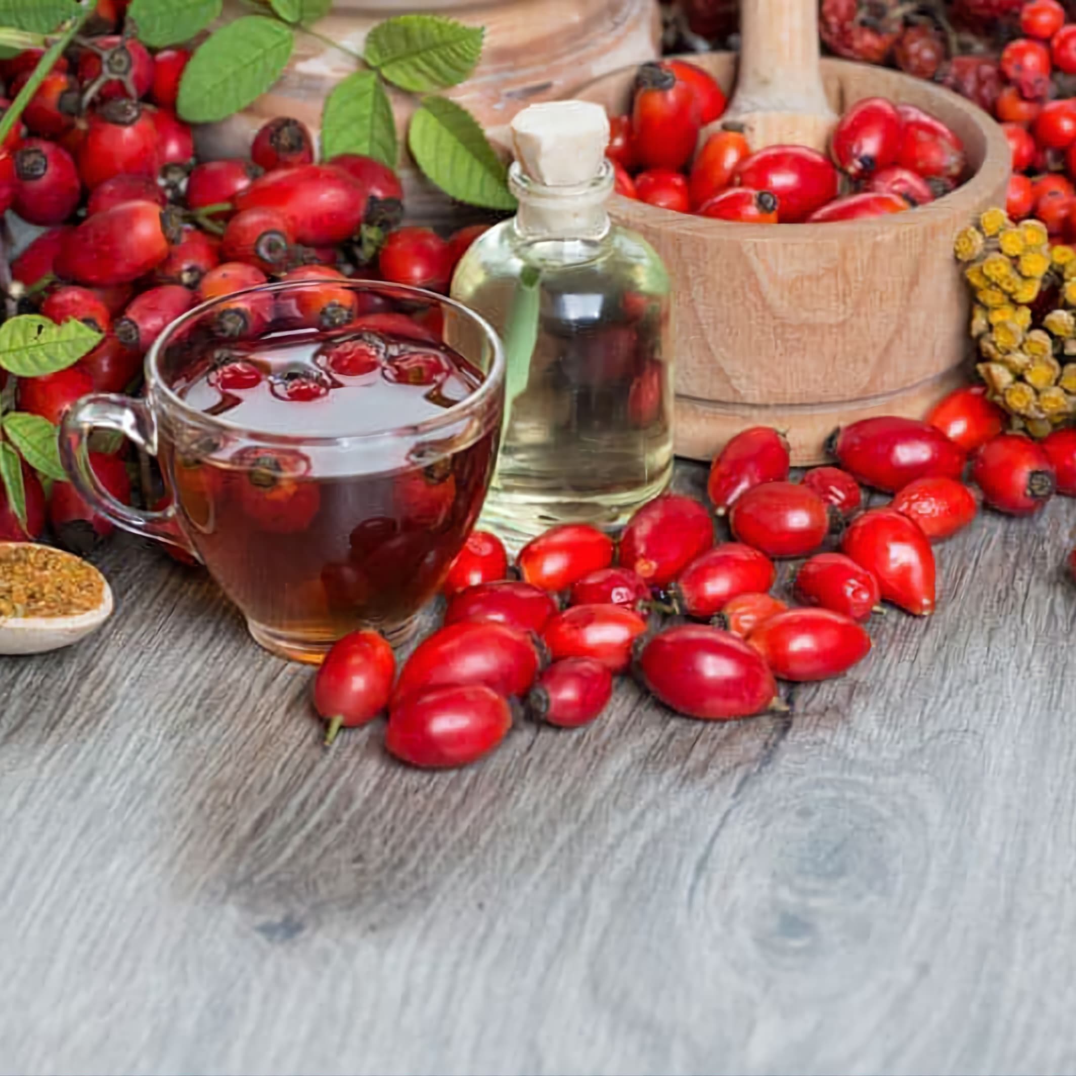 رب گل نسترن و خواص ضد سنگ کلیه آن — تصویر ۹