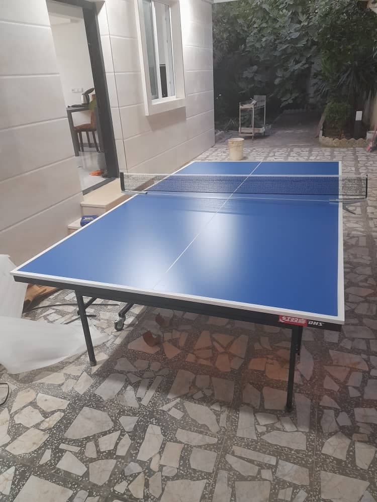 میز پینگ پنگ اکونومی — تصویر ۶