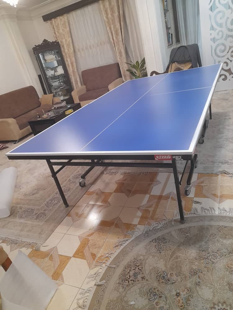 میز پینگ پنگ اکونومی — تصویر ۹