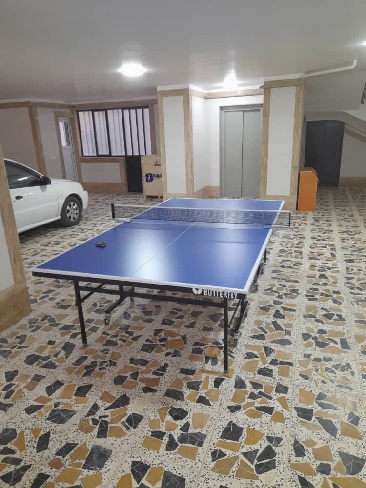 میز پینگ پنگ اکونومی — تصویر ۱۱