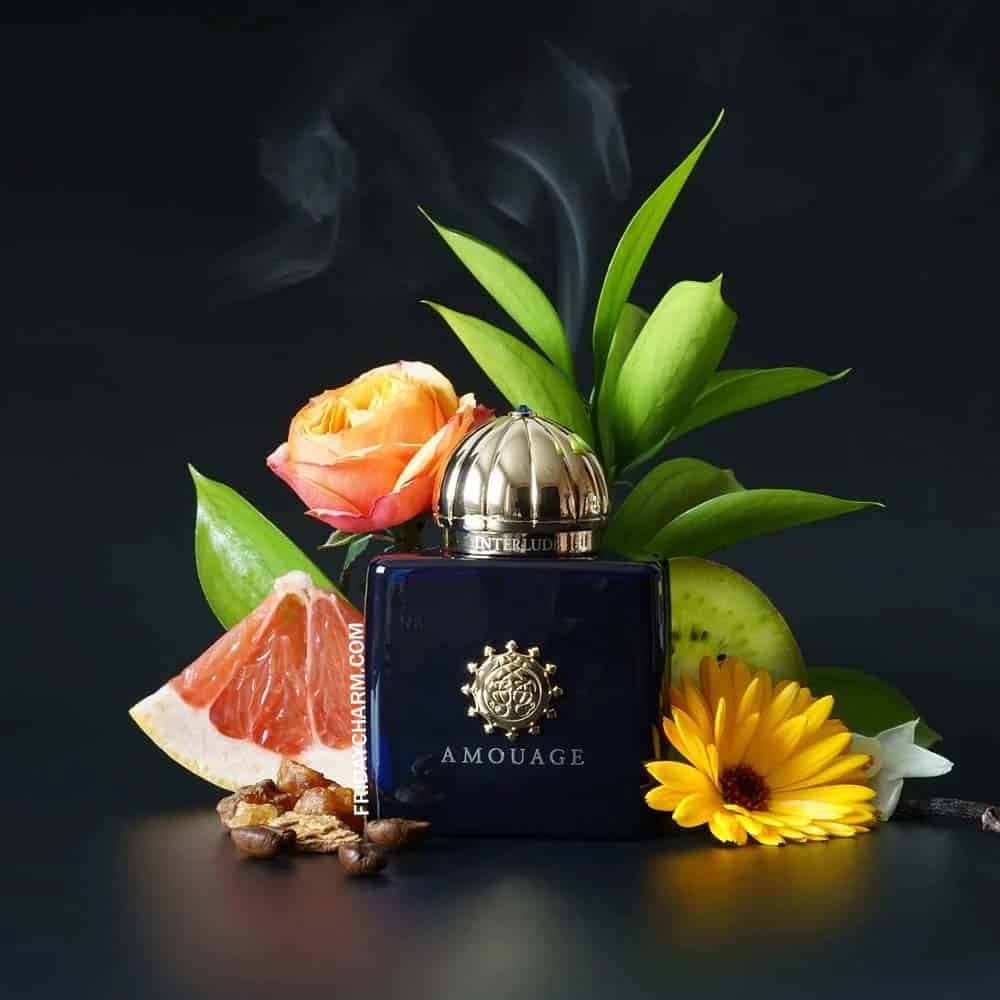 ادکلن مردانه آمواج اینترلود 53 Amouage Interlude 53 100ml — تصویر ۶