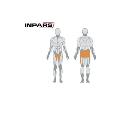 دستگاه داخل پا خارج پا اینپارس(inpars) Pro3009 — تصویر ۴