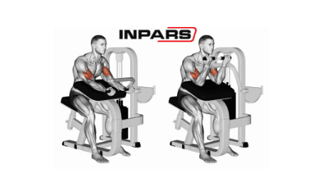 دستگاه جلو بازو اینپارس (inpars) Pro3004 — تصویر ۶