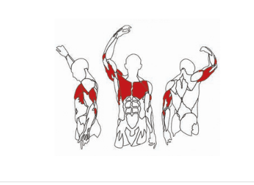 میز پرس سینه : pro3020-chest press Bench اینپارس (inpars) — تصویر ۳