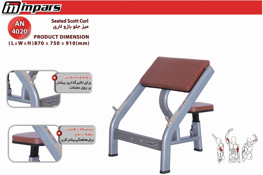 میز جلو بازو لاری : 3025 Seated Scott Curl اینپارس (inpars) — تصویر ۴