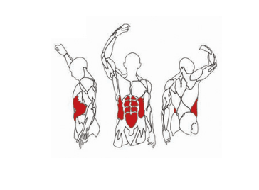 نیمکت کرانچ شکم : 3027 Abdominal Crunch اینپارس (inpars) — تصویر ۶