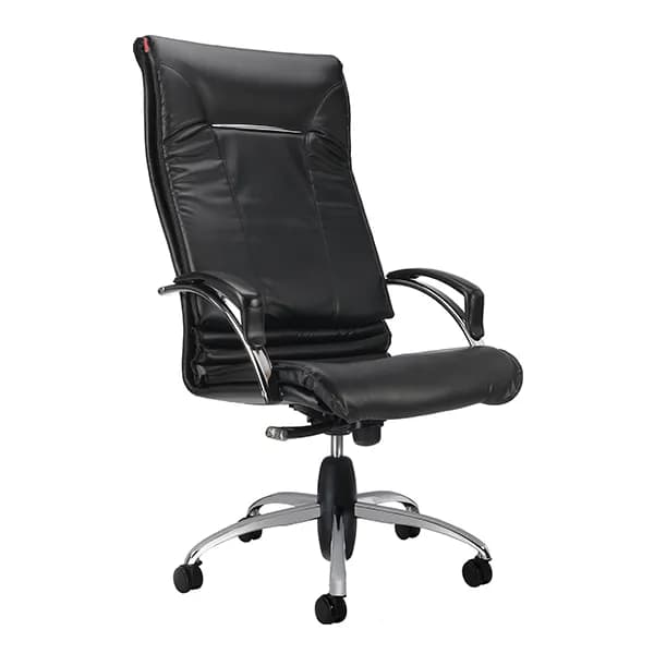 صندلی مدیریتی نیلپر مدل OCM 909E — تصویر ۱۰