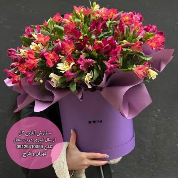 باکس گل آلسترومریا راسا — تصویر ۳