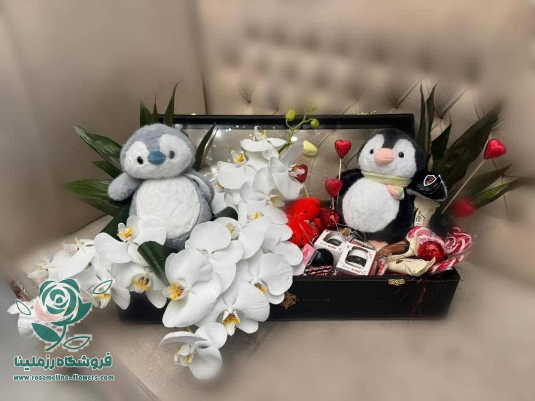 باکس ولنتاین شماره29 — تصویر ۳